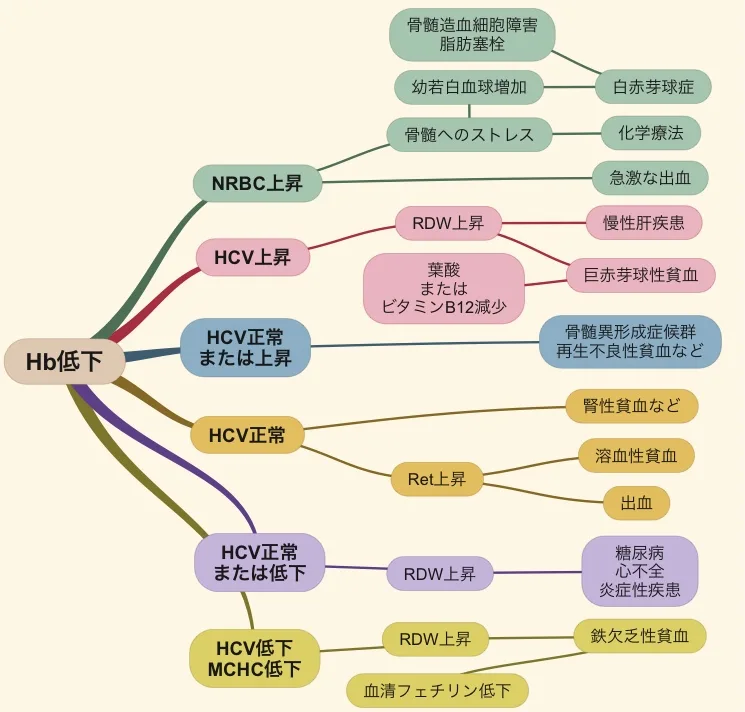 赤血球に関連する検査データまとめ