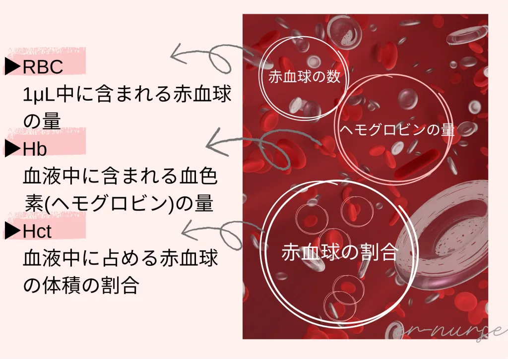 赤血球数とヘモグロビンとヘマトクリット