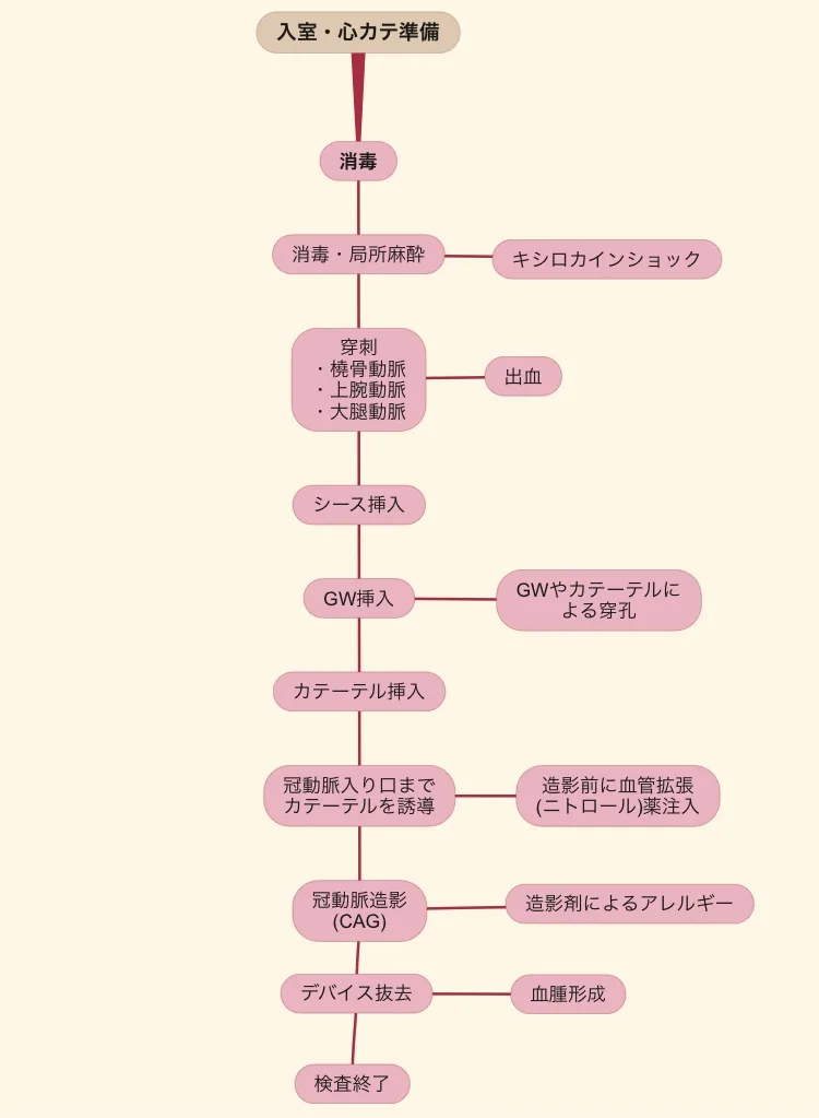 冠動脈造影(CAG)の主な流れと看護