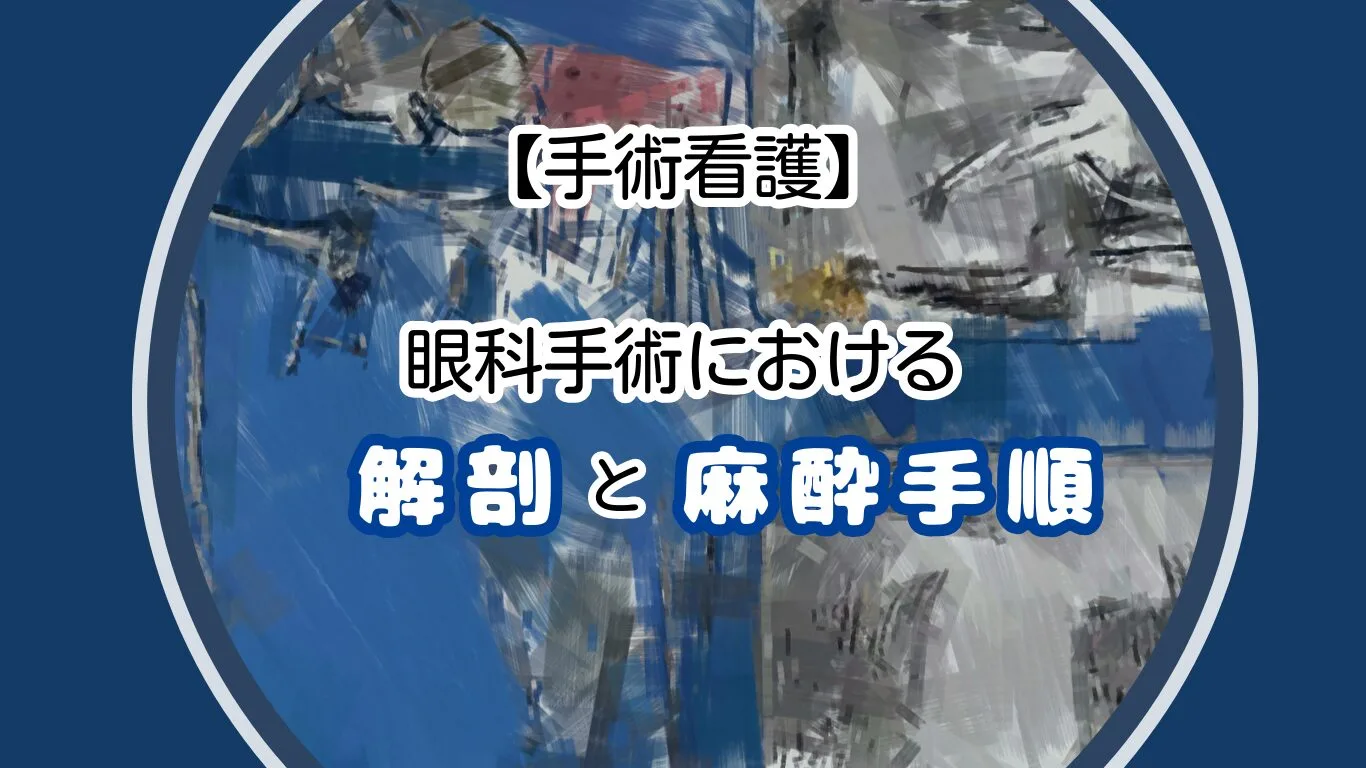 眼科手術における解剖と麻酔手順