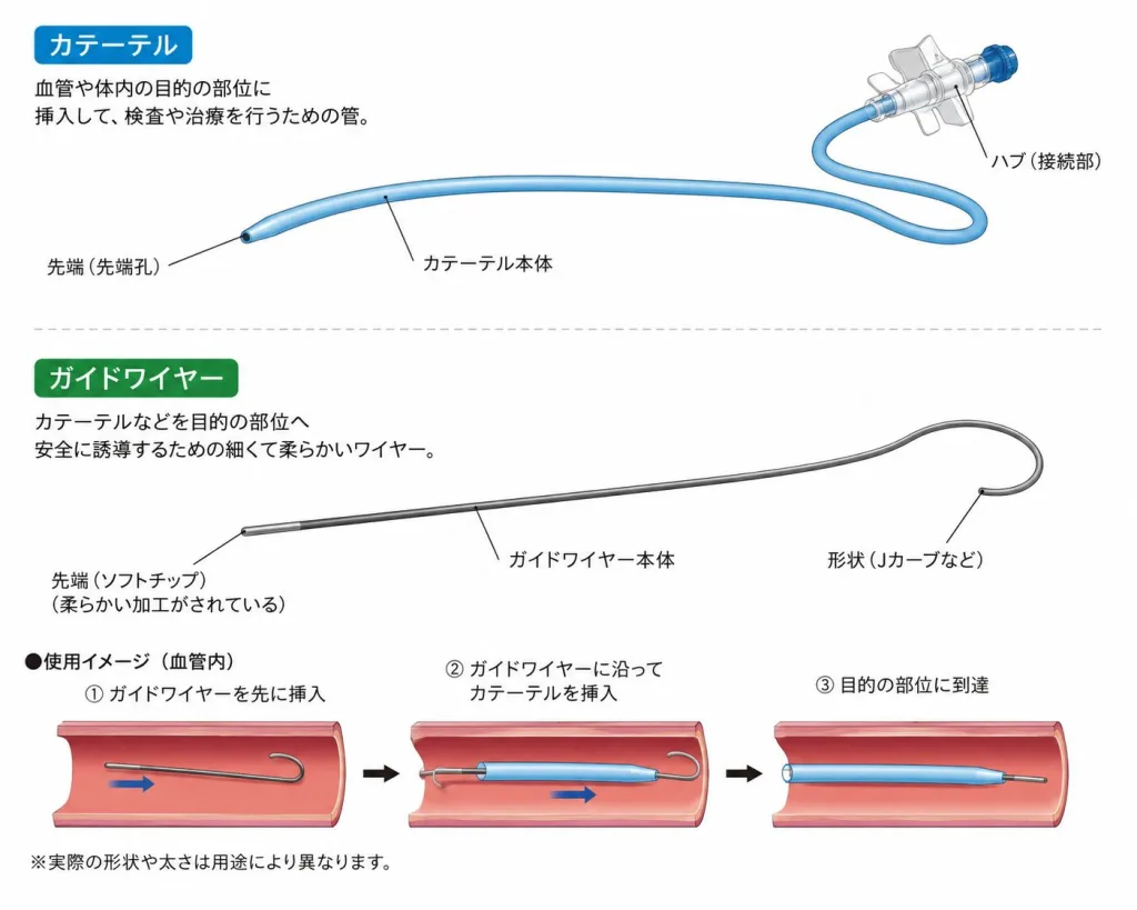 カテーテルの基本をまとめた画像